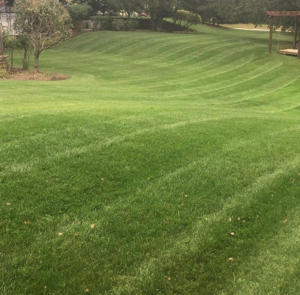 lawn care exeter ri