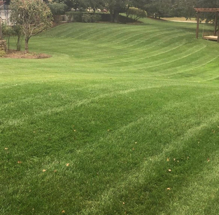lawn care exeter ri