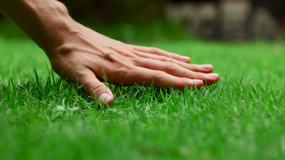 lawn care beautiful lawn for landscaping north kingstown ri